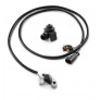 BOUTON DE CHANGEMENT DE COURBE